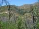 imgp1033_small.jpg