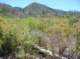 imgp1035_small.jpg