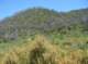 imgp1037_small.jpg