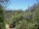 imgp1038_small.jpg