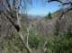 imgp1039_small.jpg