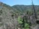 imgp1040_small.jpg