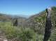 imgp1041_small.jpg