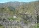imgp1042_small.jpg
