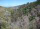 imgp1043_small.jpg