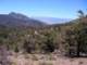 imgp4501_small.jpg