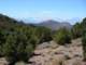 imgp4506_small.jpg