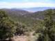 imgp4507_small.jpg