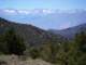 imgp4513_small.jpg
