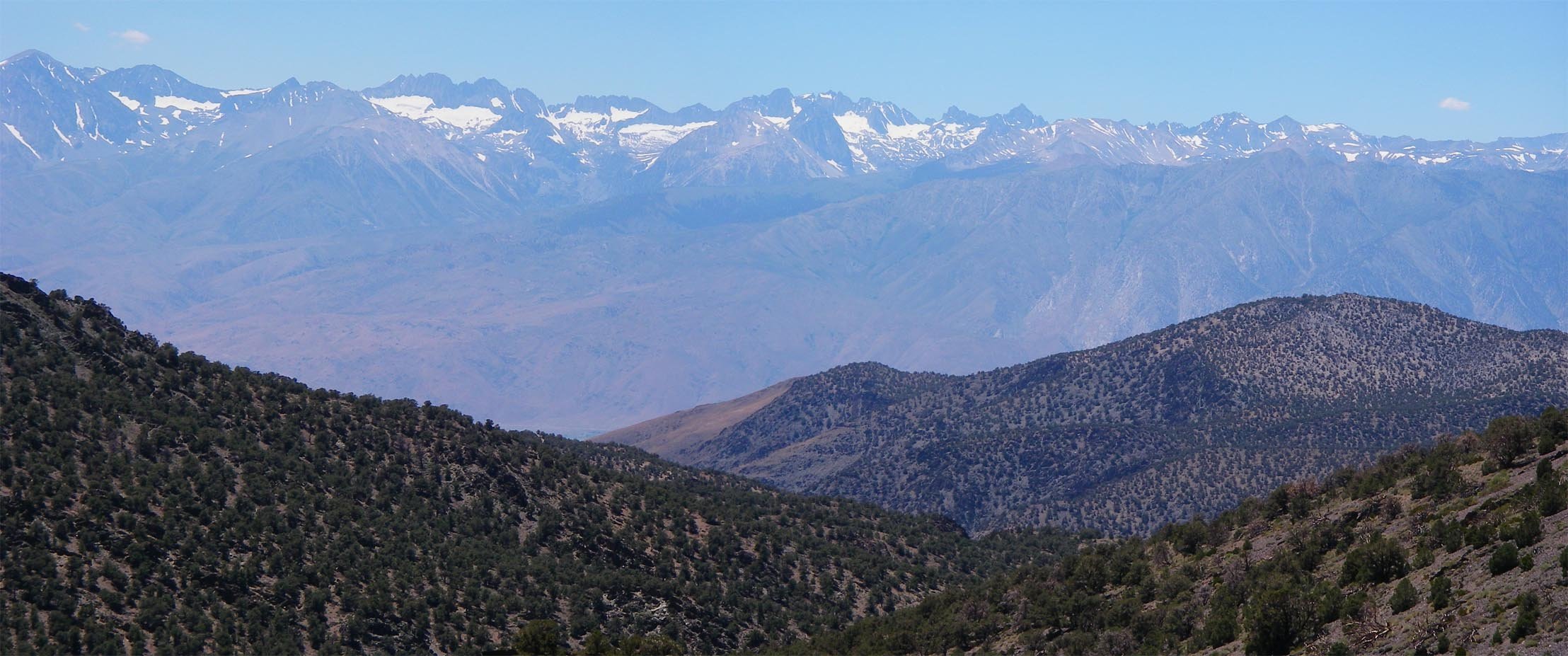 imgp4516m.jpg