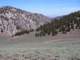imgp4524_small.jpg