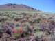 imgp4536_small.jpg