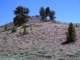 imgp4538_small.jpg