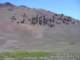 imgp4540_small.jpg