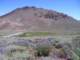 imgp4541_small.jpg