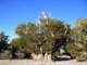 imgp4644_small.jpg