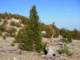 imgp4650_small.jpg