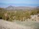 imgp4662_small.jpg