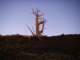 imgp4691_small.jpg