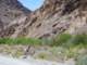 imgp4779_small.jpg