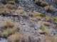 imgp4782_small.jpg