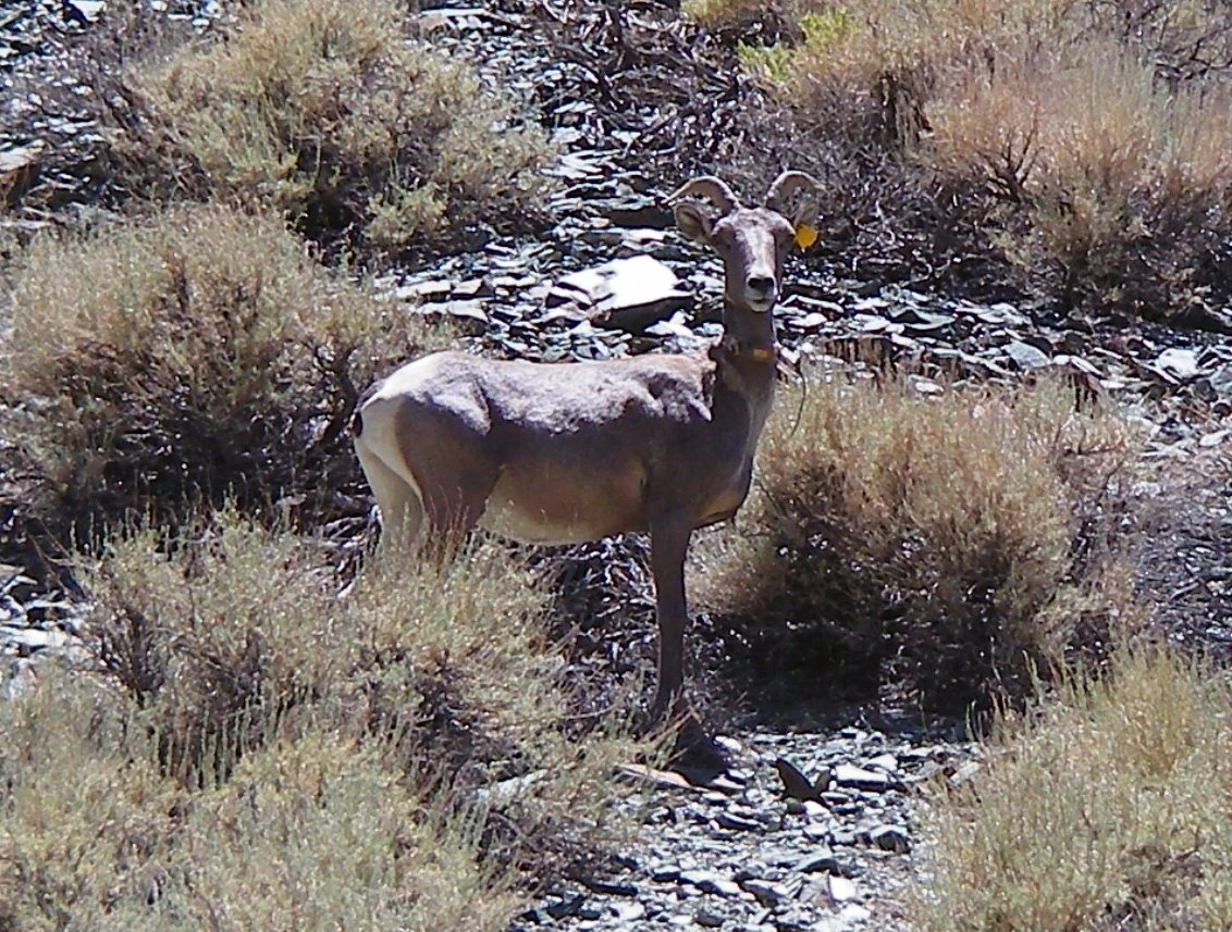 imgp4783.jpg