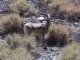 imgp4783_small.jpg