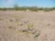 imgp0411_small.jpg