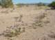 imgp0414_small.jpg