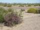 imgp0417_small.jpg