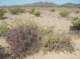 imgp0419_small.jpg