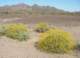 imgp0421_small.jpg
