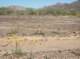 imgp0423_small.jpg