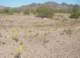 imgp0425_small.jpg