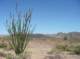 imgp0427_small.jpg