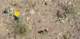 imgp0430_small.jpg
