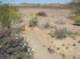 imgp0431_small.jpg