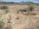 imgp0432_small.jpg