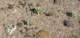 imgp0434_small.jpg