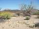 imgp0435_small.jpg
