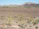 imgp0436_small.jpg