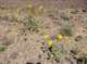 imgp0437_small.jpg