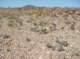 imgp0439_small.jpg