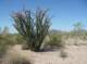 imgp0442_small.jpg
