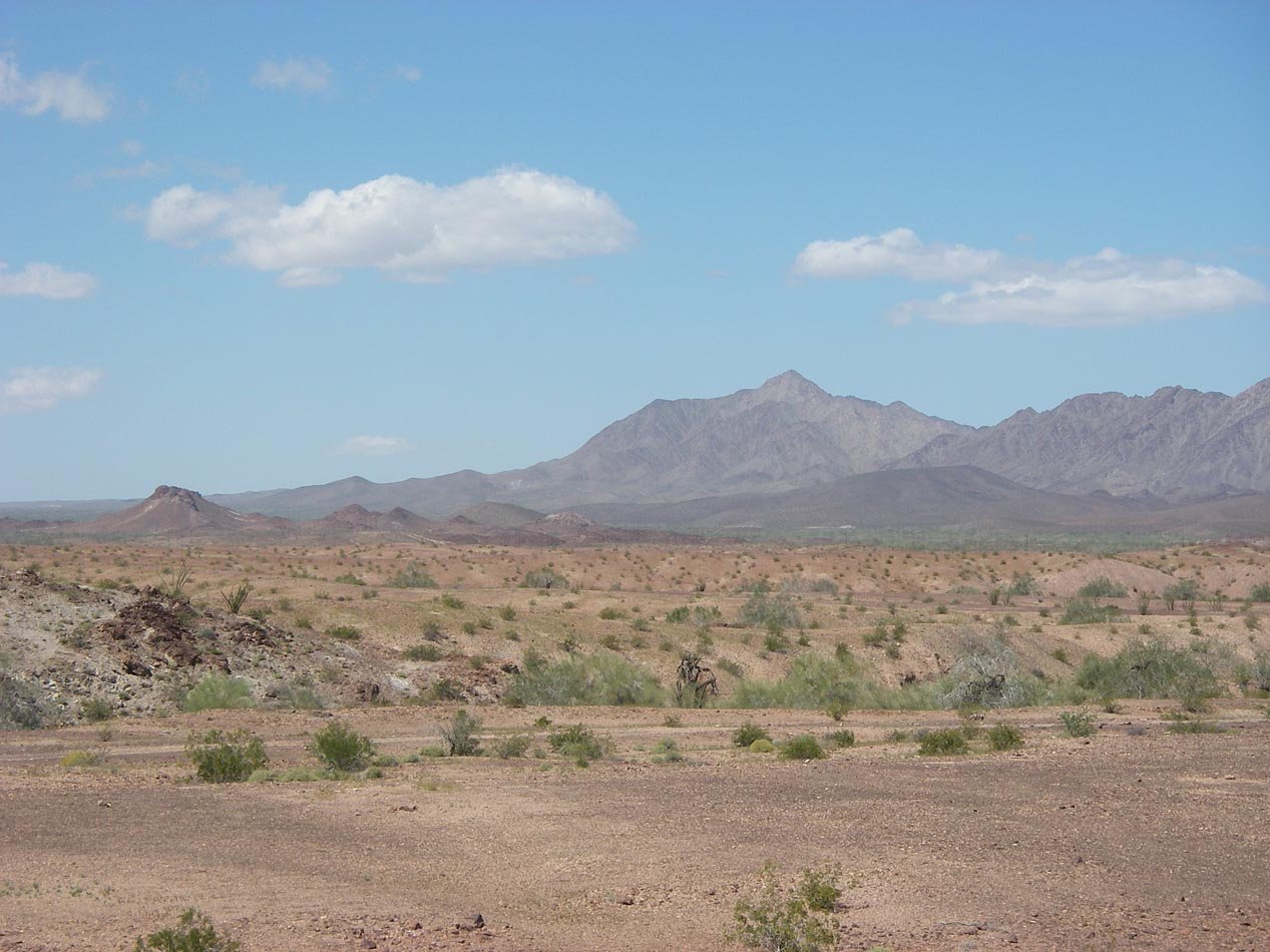 imgp0445.jpg