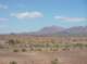 imgp0445_small.jpg