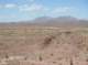 imgp0446_small.jpg