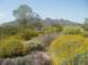 imgp0449_small.jpg