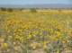 imgp0450_small.jpg