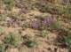 imgp0452_small.jpg